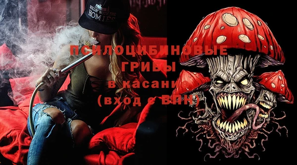 СК Алексин