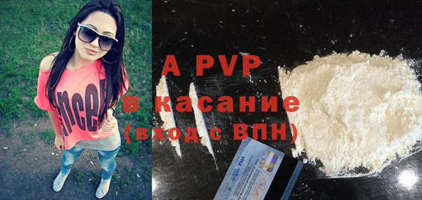 СК Алексин