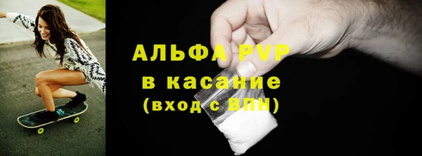 СК Алексин