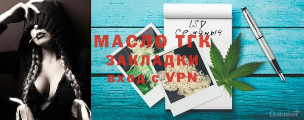 СК Алексин