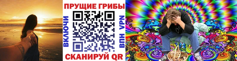 где купить наркоту  kraken сайт  Галлюциногенные грибы мицелий  Островной 